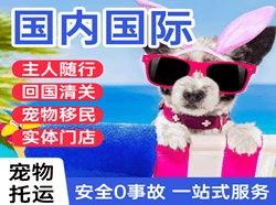 敦煌莫高机场货运国际宠物托运 【国